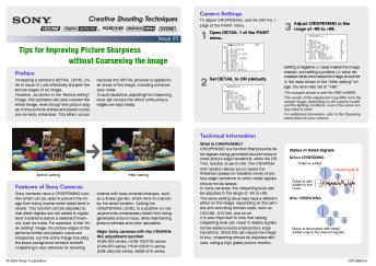 Issue 03: Tips for Improving Picture Sharpness without - Sony