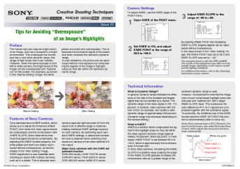 Fiche produit Sony : 47/1166605183247.pdf
