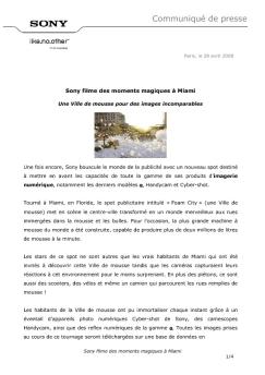 Fiche produit Sony : 94/1209376177194.pdf