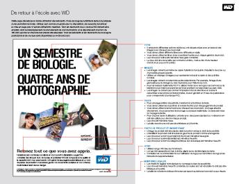 WD Back To School Campaign Guidelines