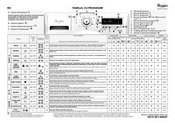 RO TABELUL CU PROGRAME 5019 301 06647