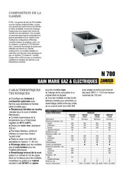 BAIN MARIE GAZ et ELECTRIQUES