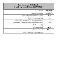 Four Electrique - Fiche Produit Selon le règlement ... - 4CliK.com