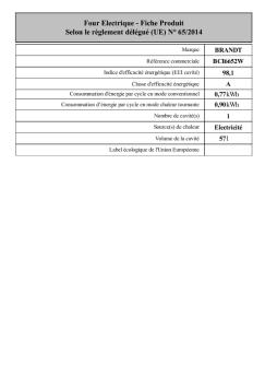 Four Electrique - Fiche Produit Selon le ... - Electro10count.com