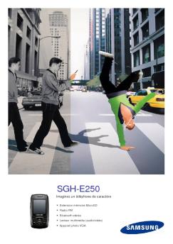 SGH-E250