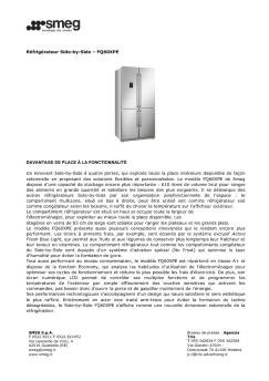 Réfrigérateur Side-by-Side – FQ60XPE DAVANTAGE DE PLACE À ...