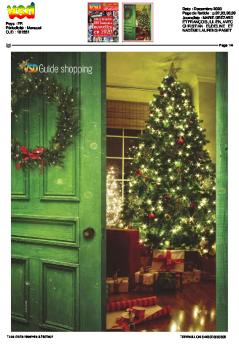 FR 201201 VSD Master%20coach