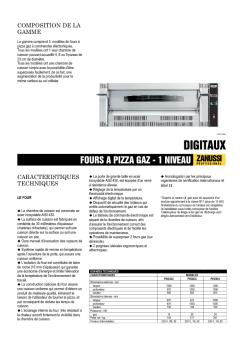 FOURS A PIZZA GAZ - 1 NIVEAU