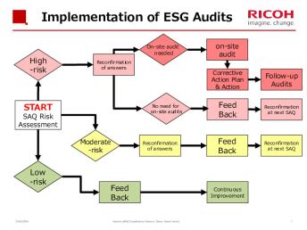 Implementation Of Esg Audits