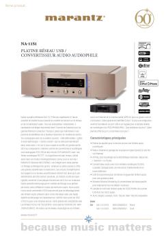 na-11s1 platine réseau usb / convertisseur audio audiophile - Cobra