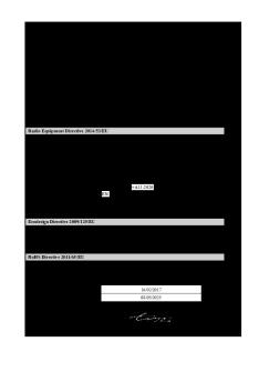 NSwitch JoyConR DeclarationOfConformity